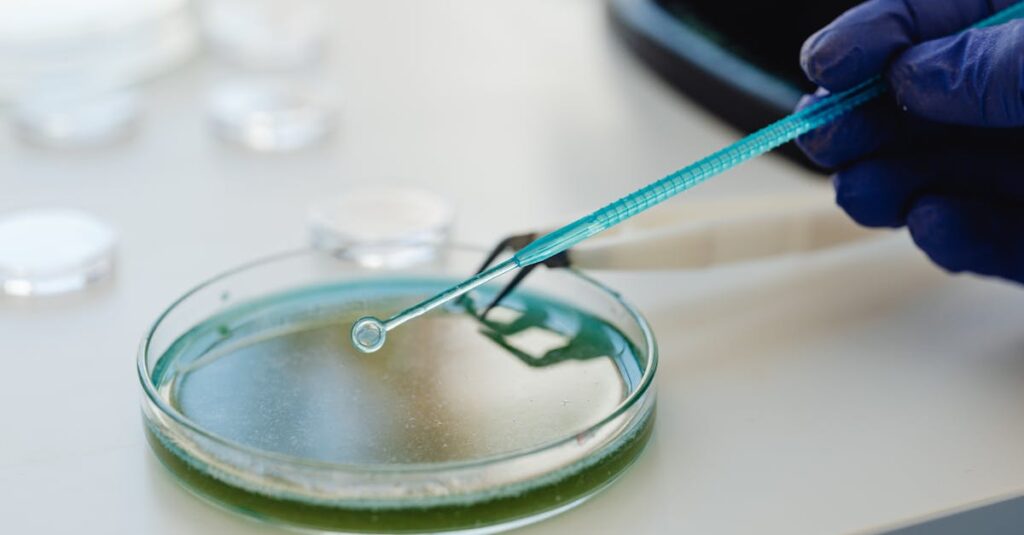 pexels photo 8539941 8539941 Scientist conducting an experiment with a pipette and petri dish in a lab.